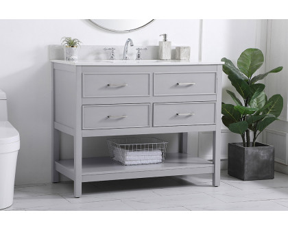 Elegant Bathroom Vanity - Gray (VF19042GR-BS)