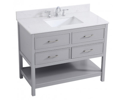 Elegant Bathroom Vanity - Gray (VF19042GR-BS)