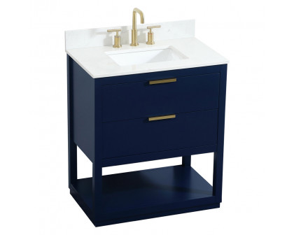 Elegant Bathroom Vanity - Blue (VF19230BL-BS)