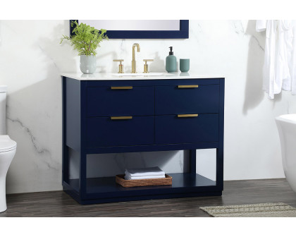 Elegant Bathroom Vanity - Blue (VF19242BL)