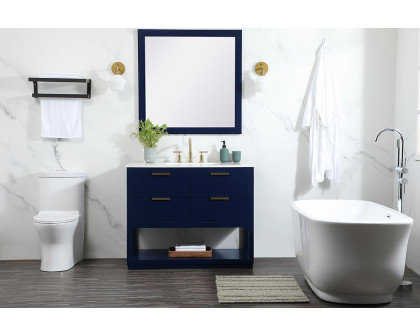 Elegant Bathroom Vanity - Blue (VF19242BL)