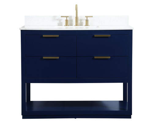 Elegant Bathroom Vanity - Blue (VF19242BL-BS)