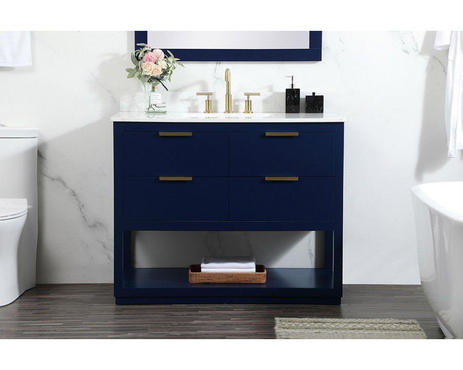 Elegant Bathroom Vanity - Blue (VF19242BL-BS)