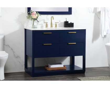 Elegant Bathroom Vanity - Blue (VF19242BL-BS)