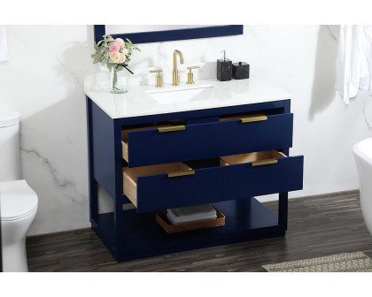 Elegant Bathroom Vanity - Blue (VF19242BL-BS)