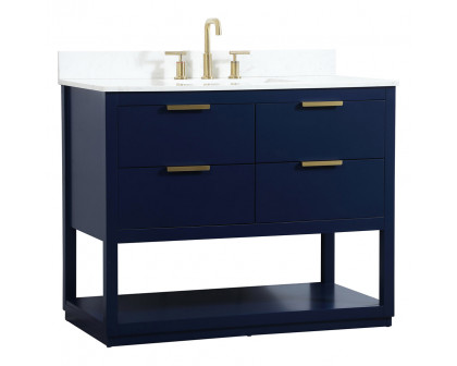 Elegant Bathroom Vanity - Blue (VF19242BL-BS)