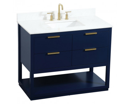 Elegant Bathroom Vanity - Blue (VF19242BL-BS)