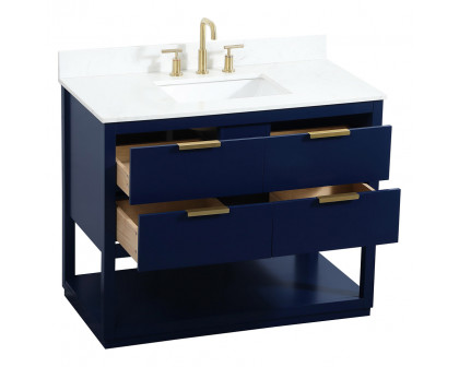 Elegant Bathroom Vanity - Blue (VF19242BL-BS)