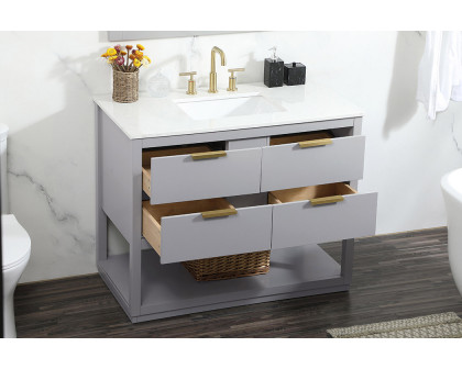 Elegant Bathroom Vanity - Gray (VF19242GR)