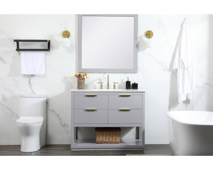 Elegant Bathroom Vanity - Gray (VF19242GR)