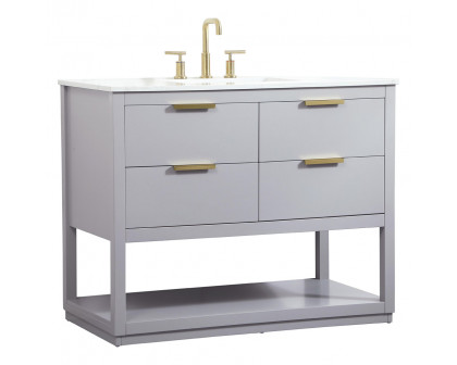 Elegant Bathroom Vanity - Gray (VF19242GR)