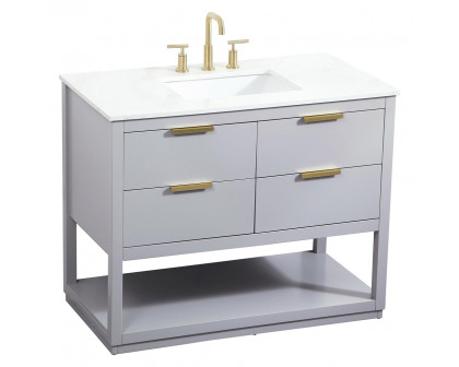 Elegant Bathroom Vanity - Gray (VF19242GR)