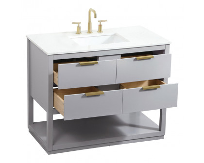 Elegant Bathroom Vanity - Gray (VF19242GR)