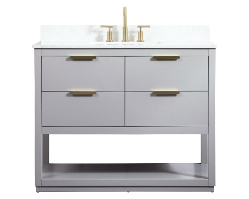 Elegant Bathroom Vanity - Gray (VF19242GR-BS)