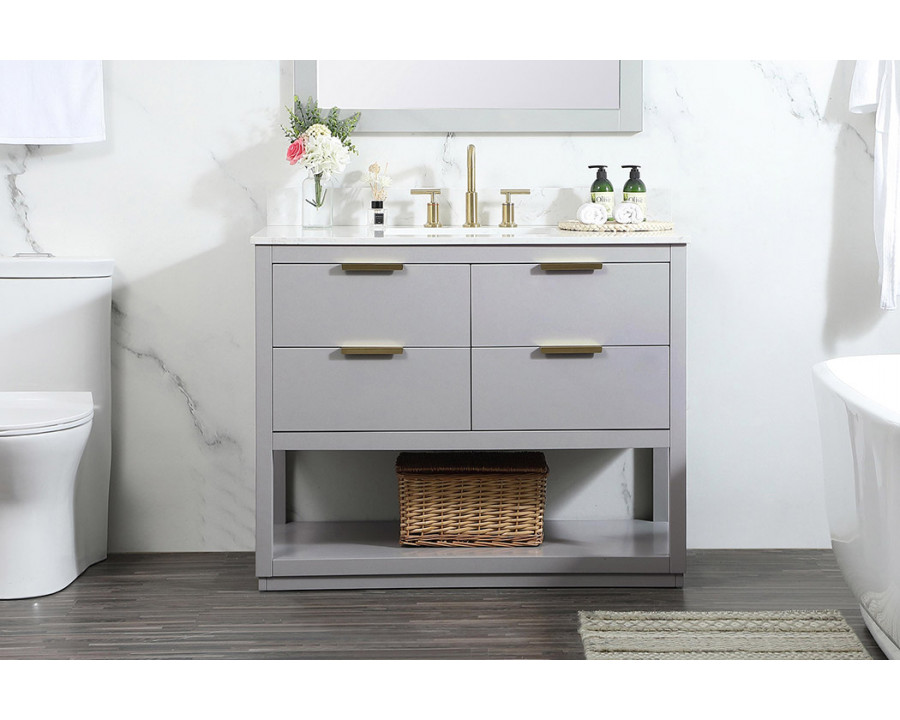 Elegant Bathroom Vanity - Gray (VF19242GR-BS)