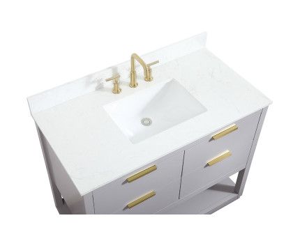 Elegant Bathroom Vanity - Gray (VF19242GR-BS)