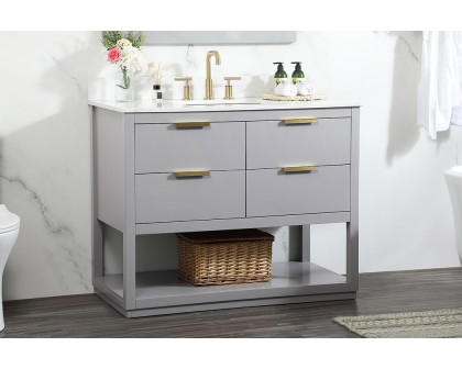 Elegant Bathroom Vanity - Gray (VF19242GR-BS)