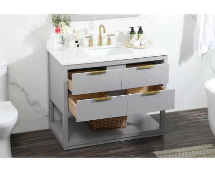 Elegant Bathroom Vanity - Gray (VF19242GR-BS)