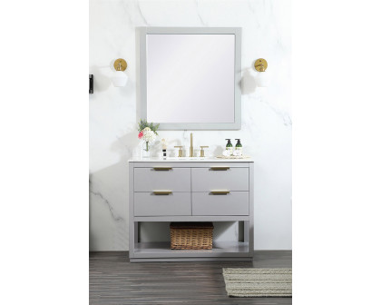 Elegant Bathroom Vanity - Gray (VF19242GR-BS)