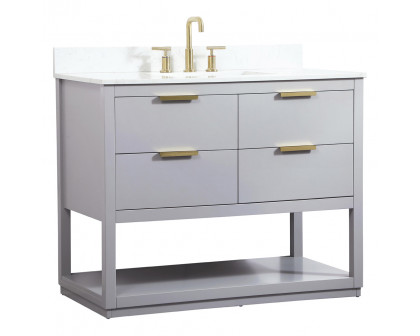 Elegant Bathroom Vanity - Gray (VF19242GR-BS)