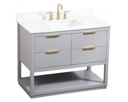 Elegant Bathroom Vanity - Gray (VF19242GR-BS)