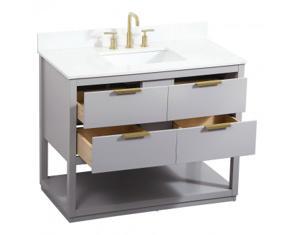 Elegant Bathroom Vanity - Gray (VF19242GR-BS)