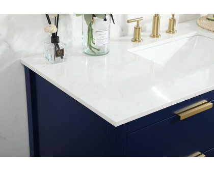 Elegant Bathroom Vanity - Blue (VF19248BL)