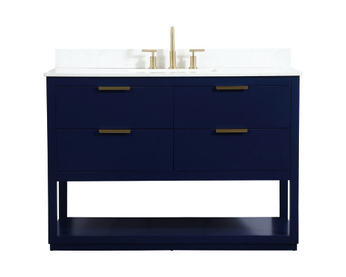 Elegant Bathroom Vanity - Blue (VF19248BL-BS)