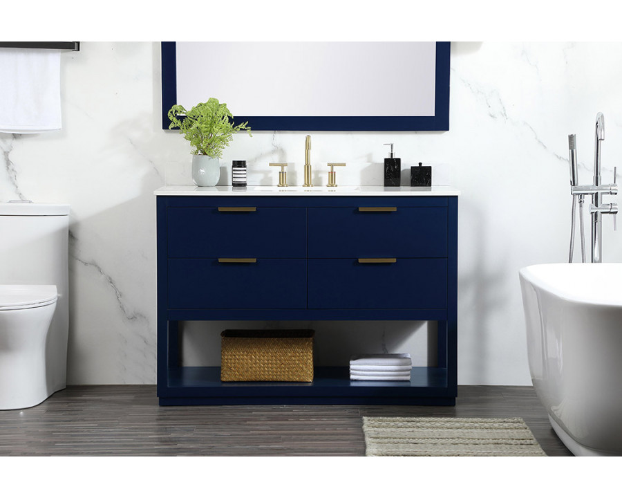 Elegant Bathroom Vanity - Blue (VF19248BL-BS)