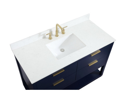 Elegant Bathroom Vanity - Blue (VF19248BL-BS)