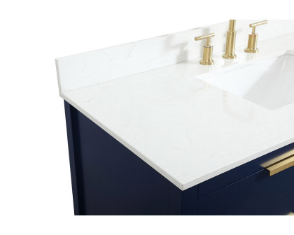 Elegant Bathroom Vanity - Blue (VF19248BL-BS)