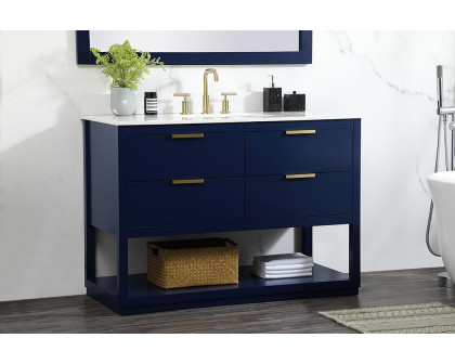 Elegant Bathroom Vanity - Blue (VF19248BL-BS)