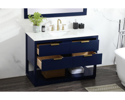 Elegant Bathroom Vanity - Blue (VF19248BL-BS)