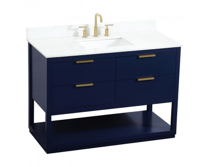 Elegant Bathroom Vanity - Blue (VF19248BL-BS)