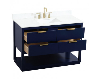 Elegant Bathroom Vanity - Blue (VF19248BL-BS)