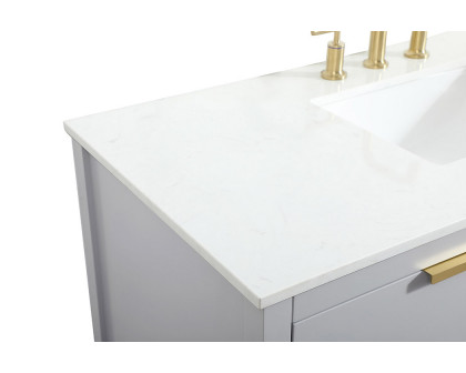 Elegant Bathroom Vanity - Gray (VF19248GR)