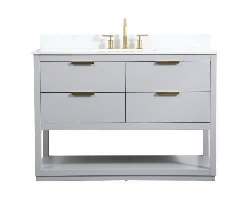 Elegant Bathroom Vanity - Gray (VF19248GR-BS)