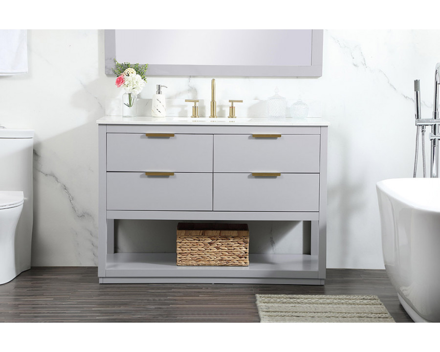 Elegant Bathroom Vanity - Gray (VF19248GR-BS)