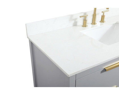 Elegant Bathroom Vanity - Gray (VF19248GR-BS)