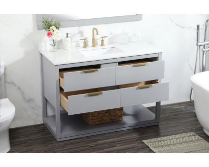 Elegant Bathroom Vanity - Gray (VF19248GR-BS)