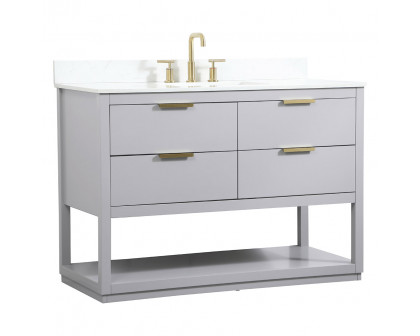 Elegant Bathroom Vanity - Gray (VF19248GR-BS)