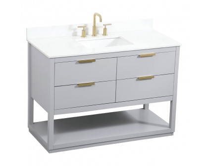 Elegant Bathroom Vanity - Gray (VF19248GR-BS)