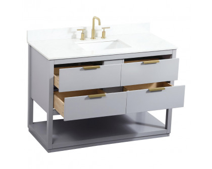 Elegant Bathroom Vanity - Gray (VF19248GR-BS)