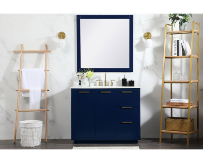 Elegant Bathroom Vanity - Blue (VF19442BL-BS)