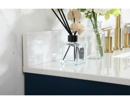 Elegant Bathroom Vanity - Blue (VF19442BL-BS)