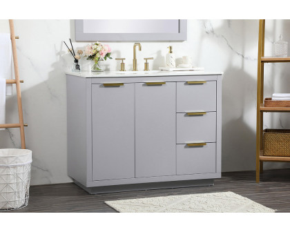 Elegant Bathroom Vanity - Gray (VF19442GR)