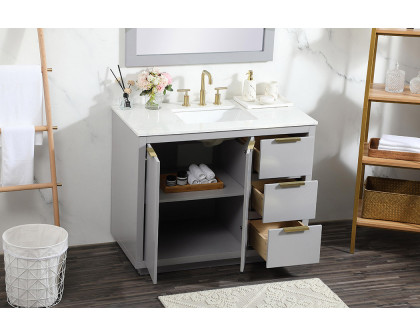 Elegant Bathroom Vanity - Gray (VF19442GR)