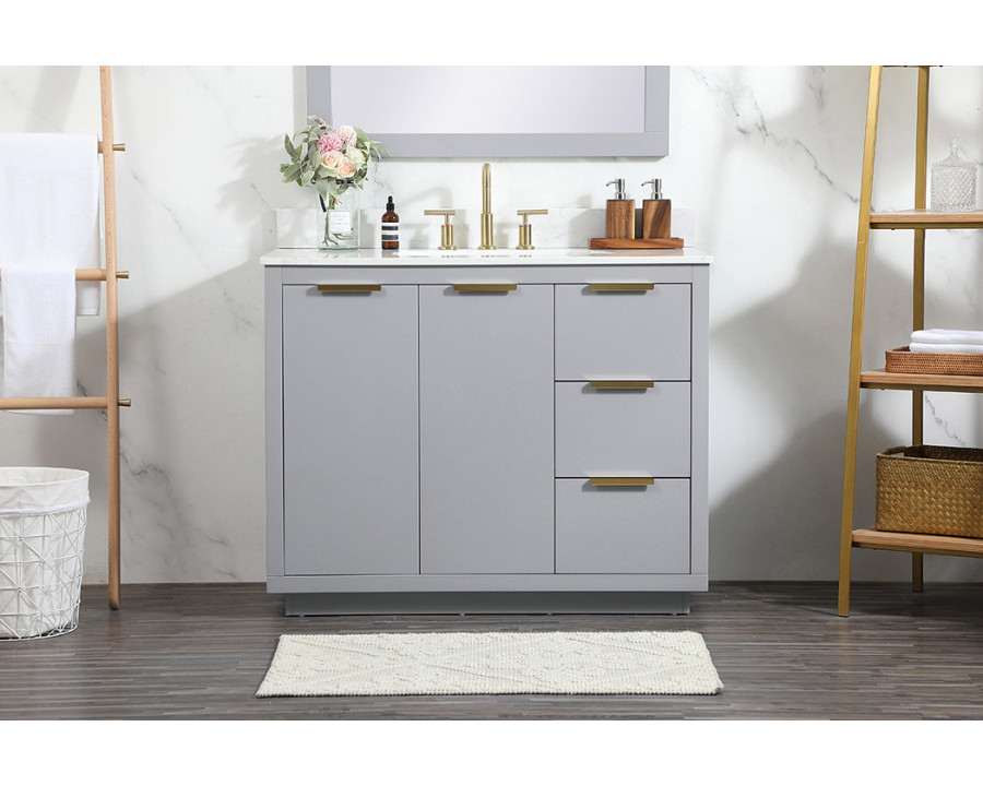 Elegant Bathroom Vanity - Gray (VF19442GR-BS)