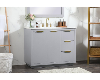 Elegant Bathroom Vanity - Gray (VF19442GR-BS)