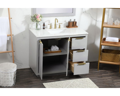 Elegant Bathroom Vanity - Gray (VF19442GR-BS)